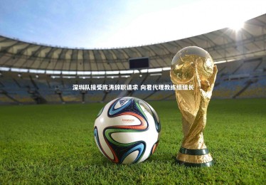 【金年会官方网站】深圳队接受陈涛辞职请求 向君代理教练组组长