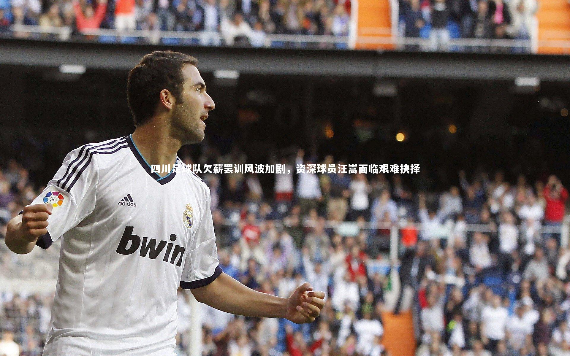 四川足球队欠薪罢训风波加剧，资深球员汪嵩面临艰难抉择